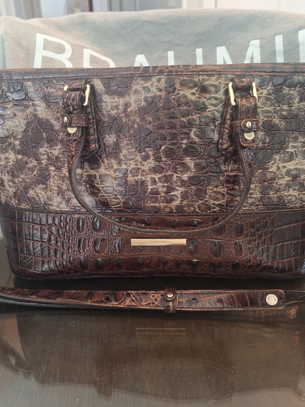 BRAHMIN MINI ASHER SATCHEL